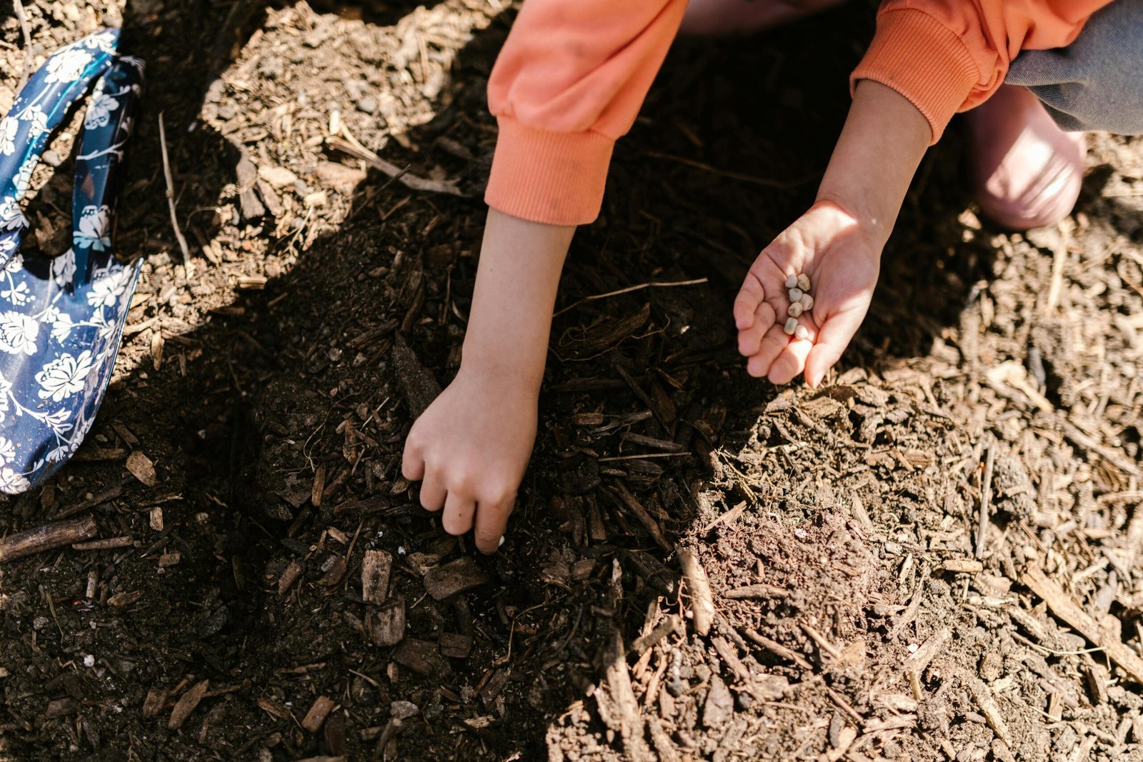 soil-ph-and-plant-health